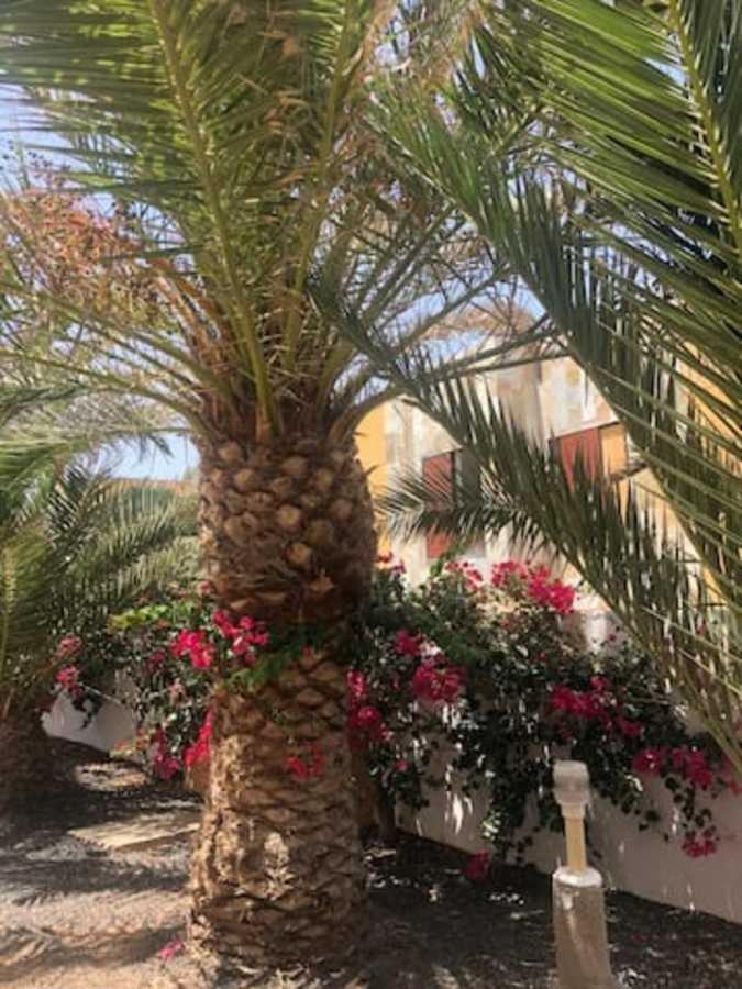 Amaya Relax Costa De Antigua Ngoại thất bức ảnh