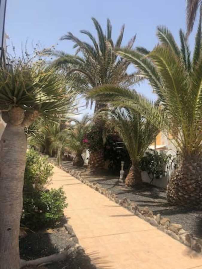 Amaya Relax Costa De Antigua Ngoại thất bức ảnh